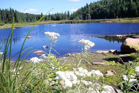 A lake at Grande Boucle Zen Nature