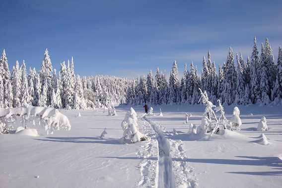 Faire du ski de fond à Saint-Donat