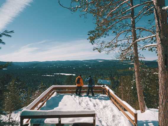 Snowshoeing at the Regional Park Chute-à-Bull