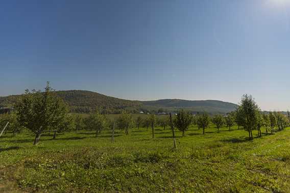 Explore the green valleys by bike