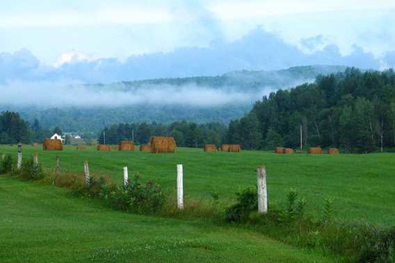 Explore the green valleys by bike