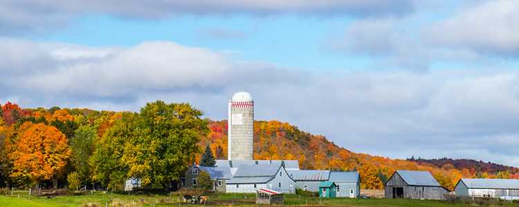 Circuits touristiques gourmands dans Lanaudière