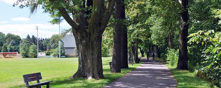 The bike paths in Joliette