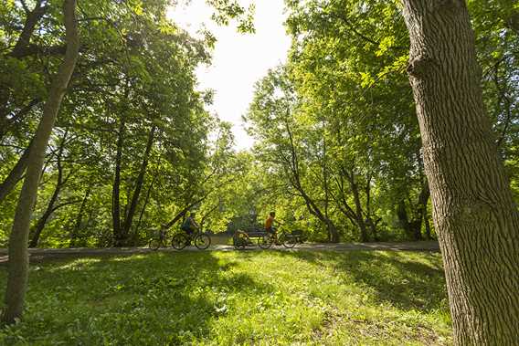 Les pistes cyclables à Joliette