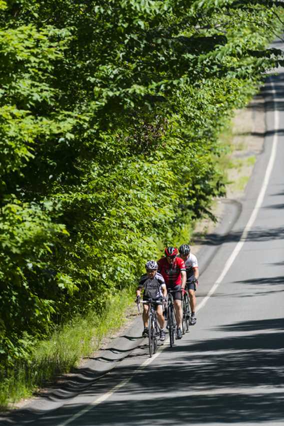 Go around the two lakes in Saint-Donat by bike