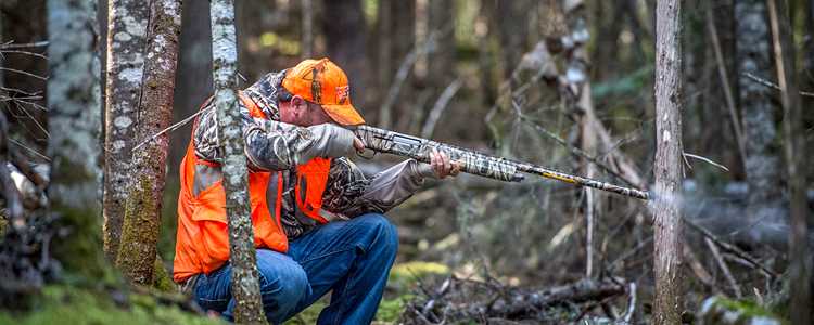 Faire de la chasse dans les sentiers de quad