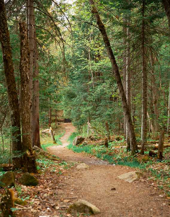 Un sentier dans le parc régional des Chutes-Monte-à-Peine-et-des-Dalles