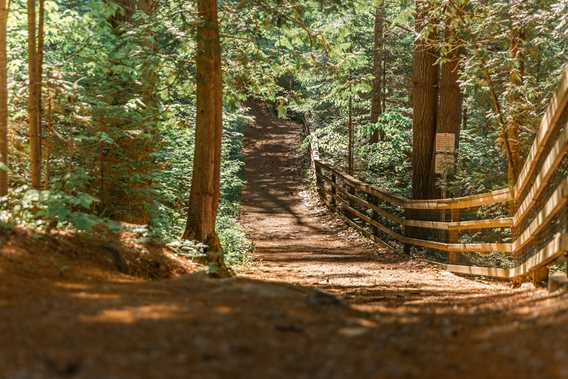 Un sentier dans le parc régional des Chutes-Monte-à-Peine-et-des-Dalles