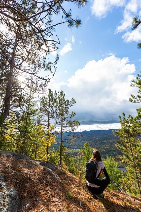 Go for a hike at the Park Regional de la Forêt Ouareau