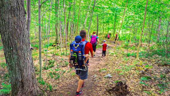 Go for a hike with the family on the trail Montagne Noire