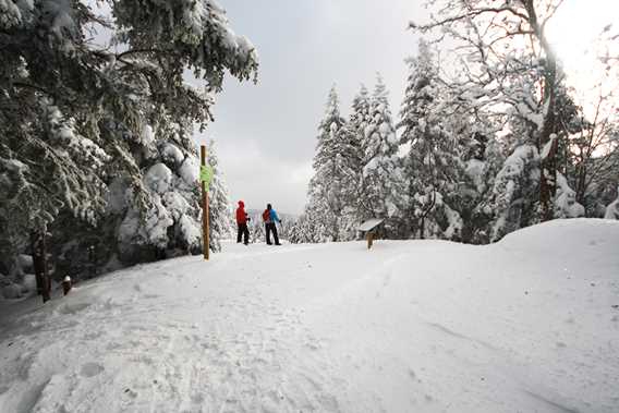 Snowshoeing on Montagne Noire