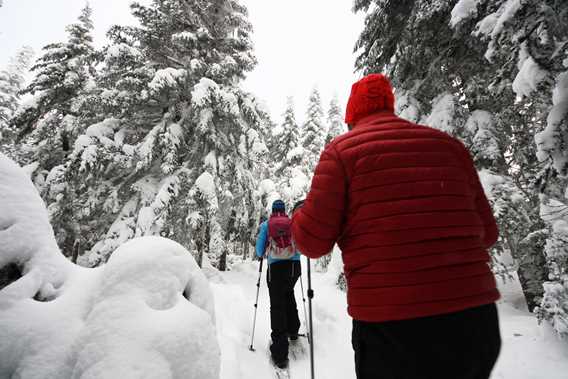 Faire de la raquette jusqu'au sommet de la Montagne Noire