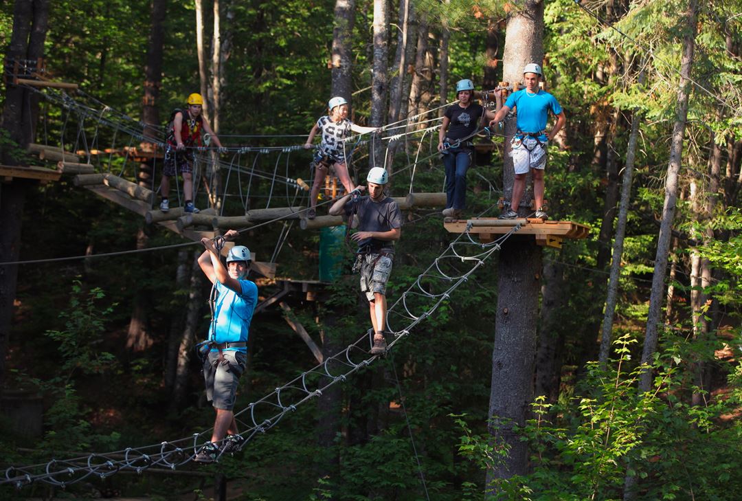 People practicing tree walks at Arbraska