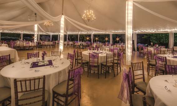 Room decorated for a wedding at the Distinction