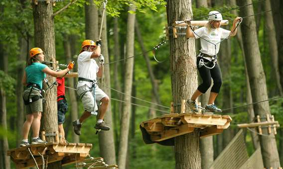 People in trees in Arbraska