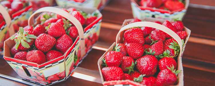 Strawberry baskets
