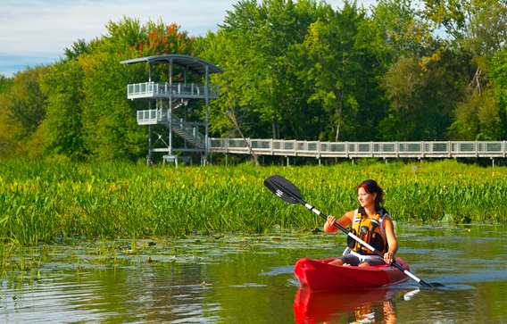 Kayak sur la rivière des Milles-Îles